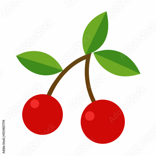Cherry tree branch with blossoms and fruits illustration
