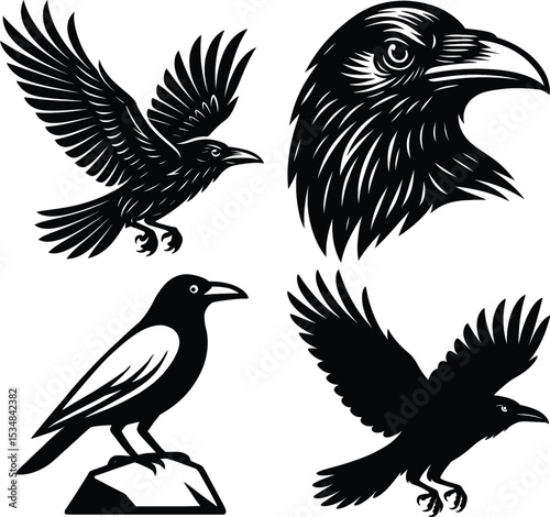 A set of silhouette Raven vector , Crow black and white vector illustration