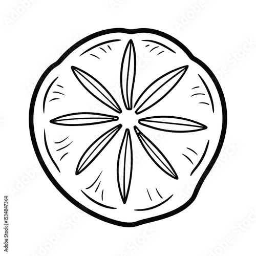 Sand dollar shell with natural texture Line Art Vector illustration