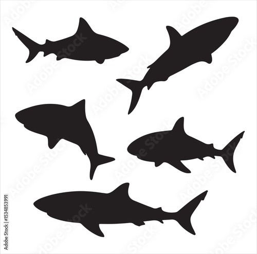 set of sharks vector set