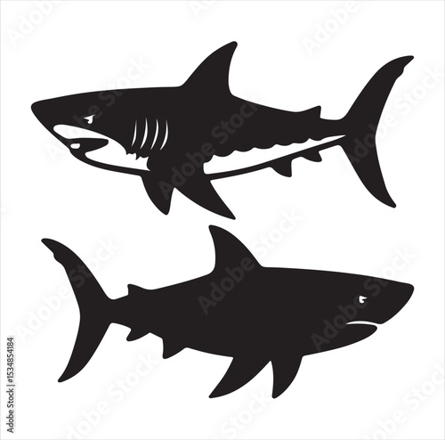 shark vector illustration