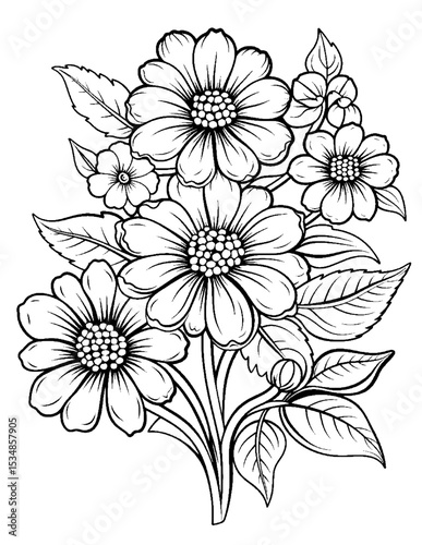 Vector illustration of color pages