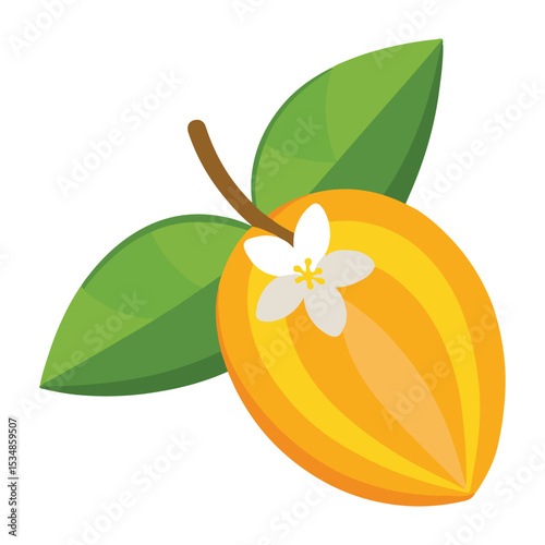 orange fruit with leaves