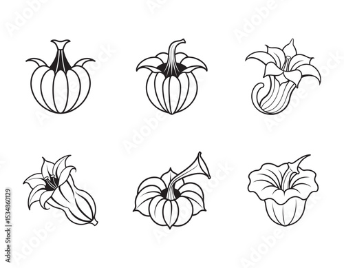 a pumpkin flower icon with large trumpet shaped