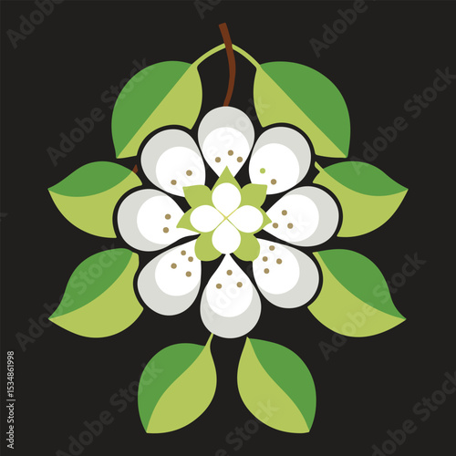  a pear tree flower icon with clustered white petal