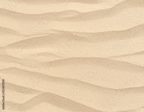 High-resolution top-down texture of compact fine sand with subtle grain, seamless and natural look. Generated image.