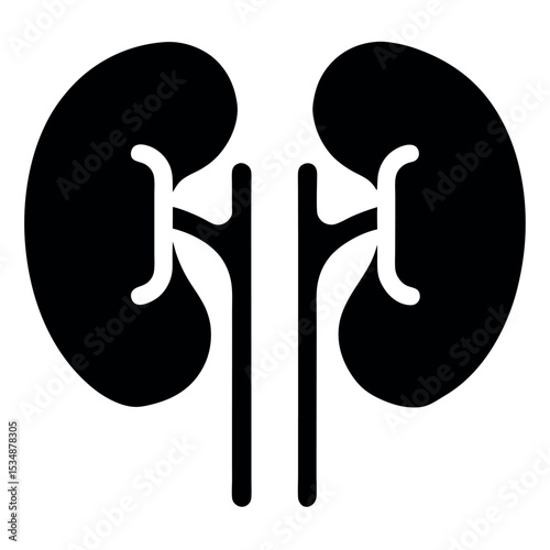 Human Kidneys Organ Silhouette Icon - Renal System Anatomy, Health, and Filtration Vector Graphic