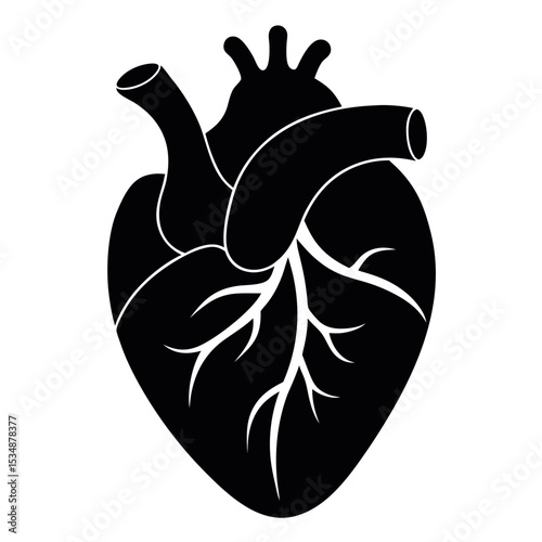 Detailed Human Heart Organ Silhouette Icon - Anatomy, Cardiology, and Health Medical Concepts Vector