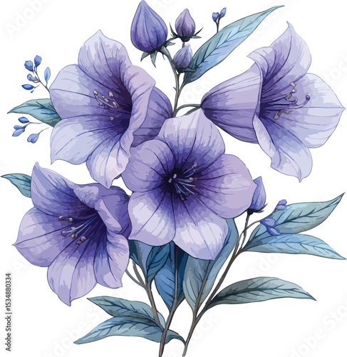 Watercolor Illustration of Campanula Flowers with Buds and Leaves on White Background