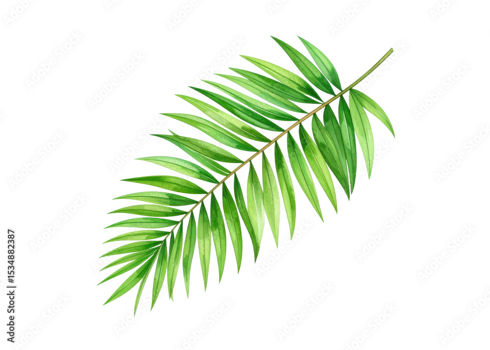Fototapeta premium A beautifully painted green palm leaf, rendered in watercolor, perfect for adding a touch of tropical nature to invitations, posters, or digital designs.