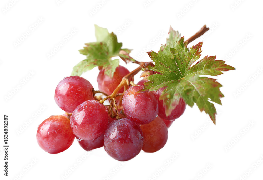 Fototapeta premium [Transparent Background PNG]Closeup of a Bunch of Red Grapes with Water Droplets