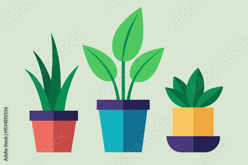 tall houseplants in decorative pots   (1).svg