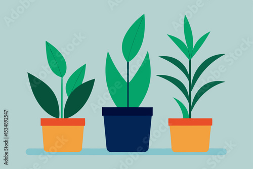 tall houseplants in decorative pots  .svg