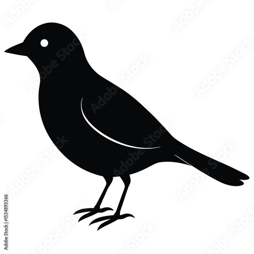 Bird Silhouette on White Background