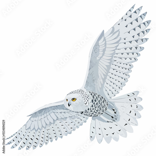 Insight Owl 