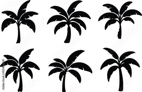 Banana Tree Silhouette Vector Collection