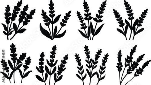 Herbal Floral Silhouettes of Lavender Vector Pack