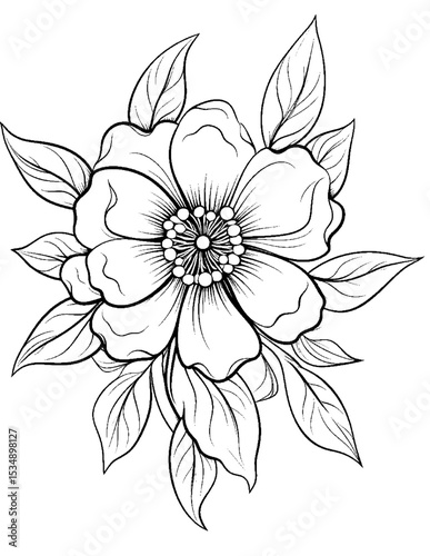 Black and white color pages