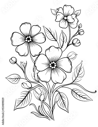 Black and white color pages