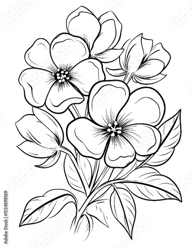 Black and white color pages