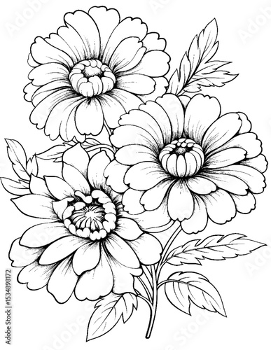 Black and white color pages
