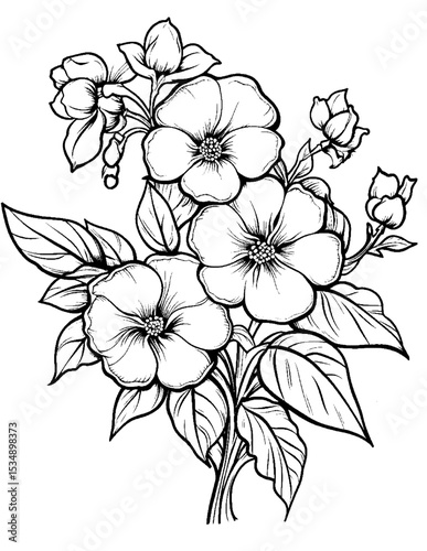 Black and white color pages