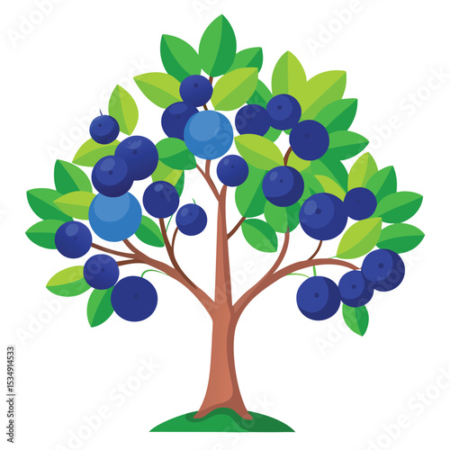 A tree with blue fruit and green leaves standing alone on a grassy hill, viewed from the side