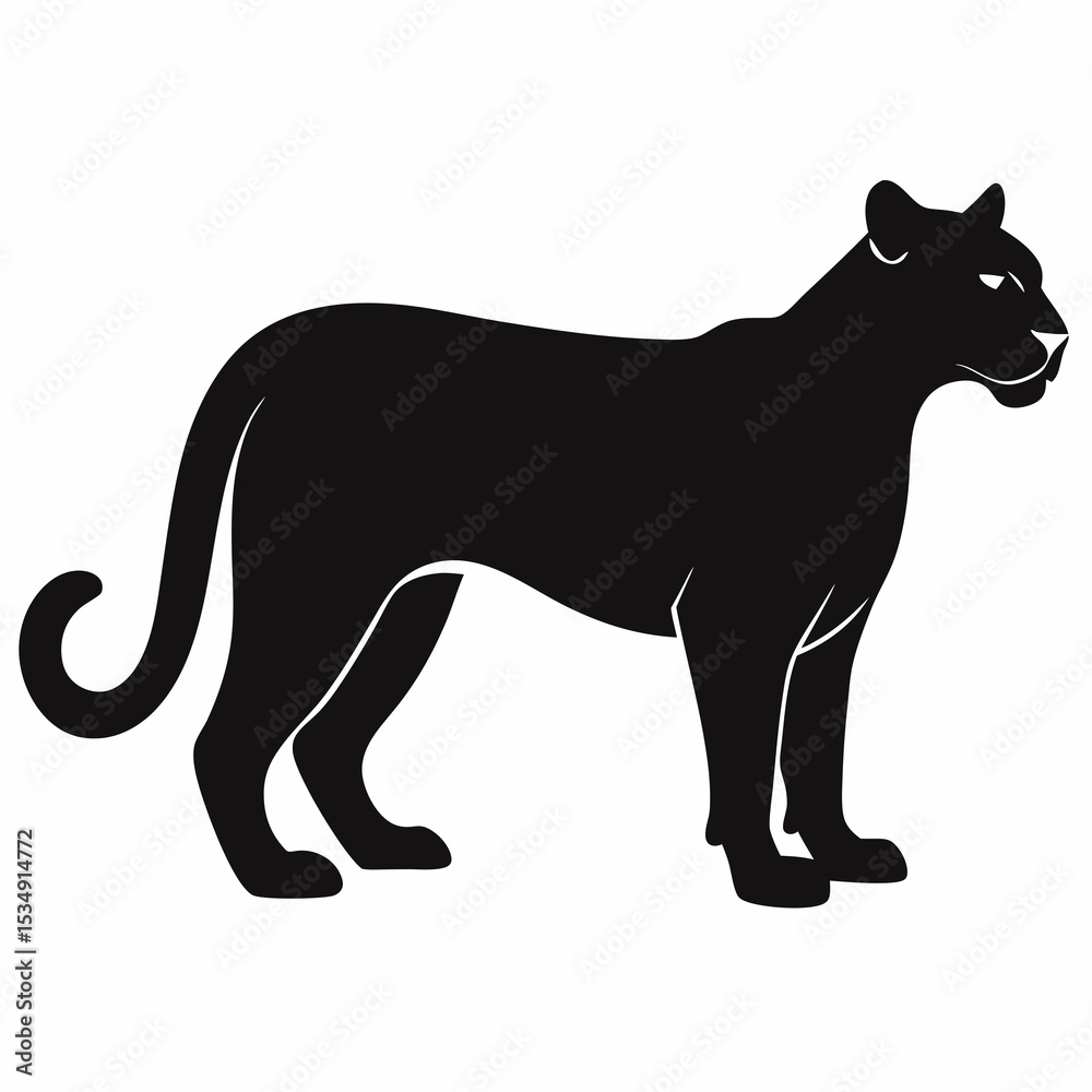 Obraz premium Cougar on white background 