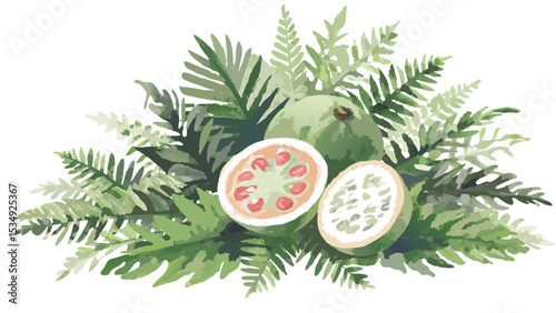 Watercolor illustration of feijoa fruits surrounded by green ferns and tropical foliage artfully arranged