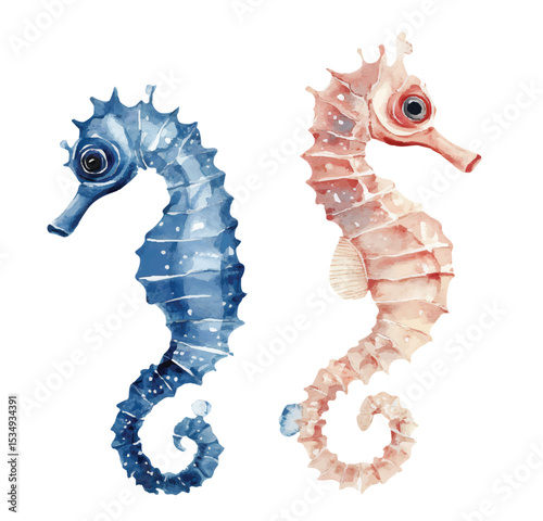 seahorse watercolor vector illustration, underwater ocean animal art isolated on white background