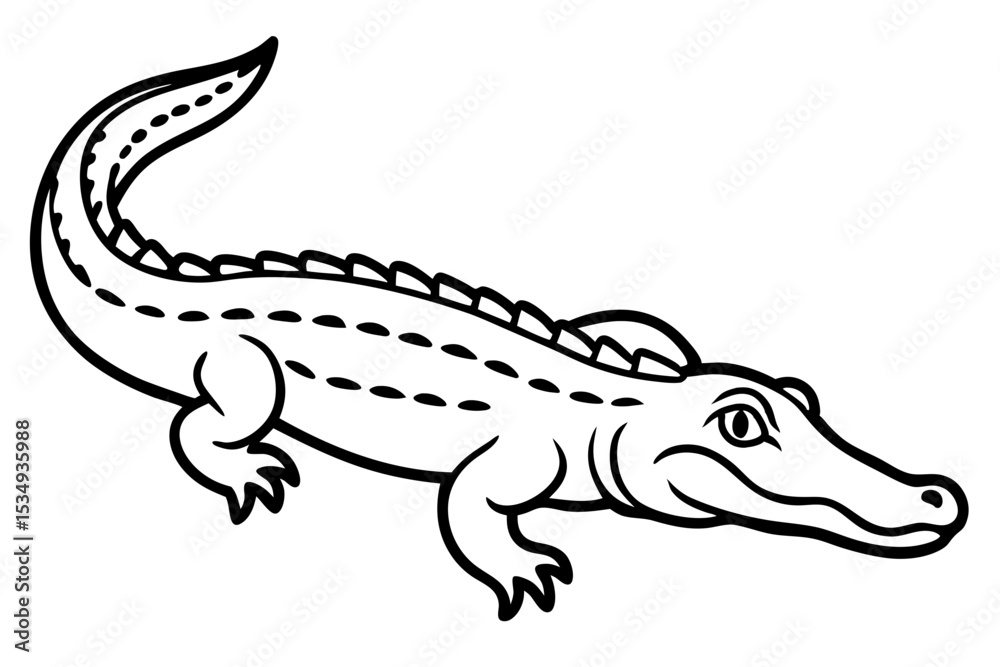 Fototapeta premium Crocodile Outline Illustration