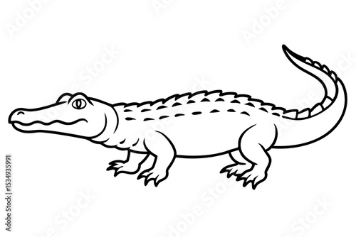 Crocodile Outline Illustration