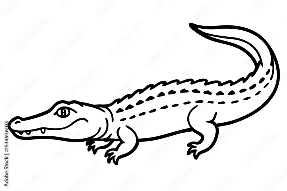 Fototapeta premium Crocodile Outline Illustration