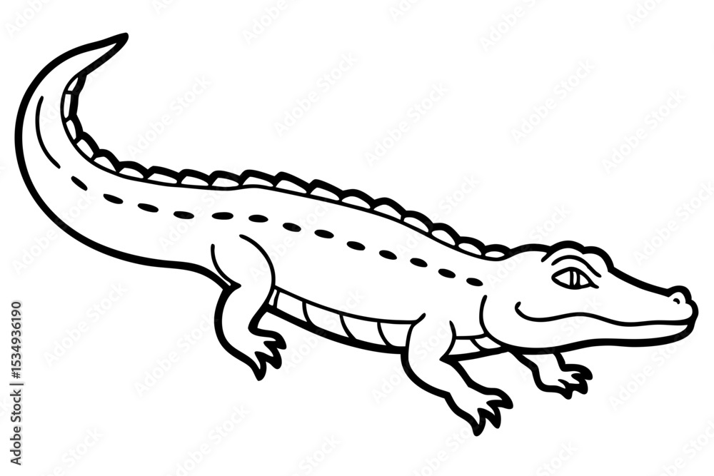 Fototapeta premium Crocodile Outline Illustration