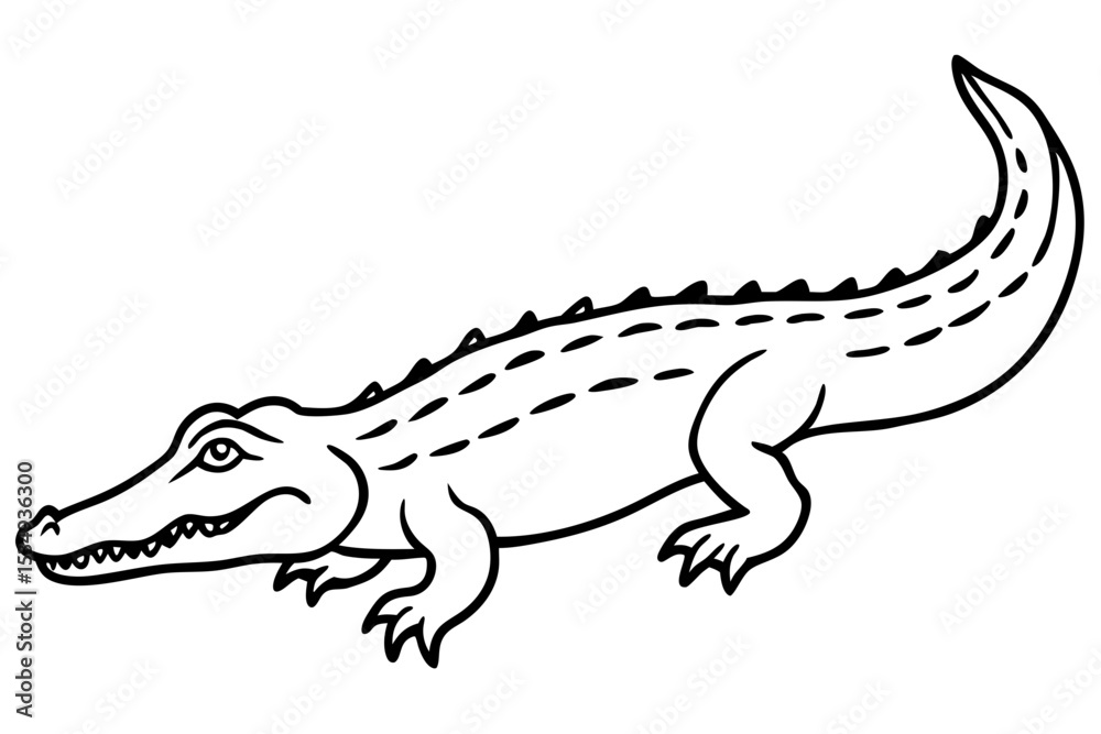 Fototapeta premium Crocodile Outline Illustration
