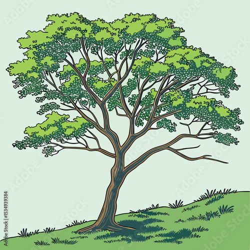 Detailed vector illustration of a large leafy tree with branching limbs, textured bark, and green foliage standing on a grassy hillside