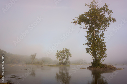 Potomac River morning fog lifting