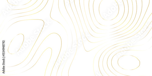 Topographic map background with geographic grid for hiking and mountain sport. luxury topographic wavy pattern and geographic grid map design. paper texture Imitation of a geographical map shades.