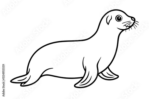 Minimalist Seal Vector