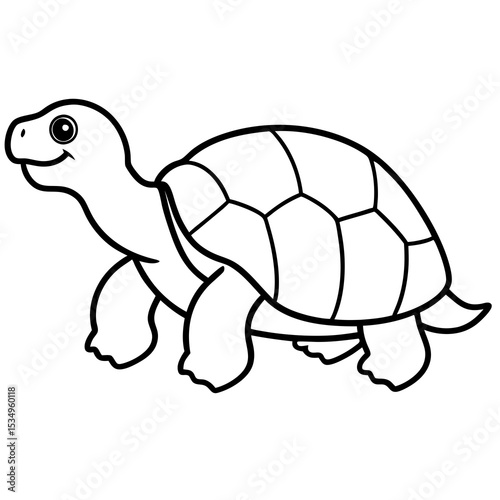 Minimalist Tortoise Line Art