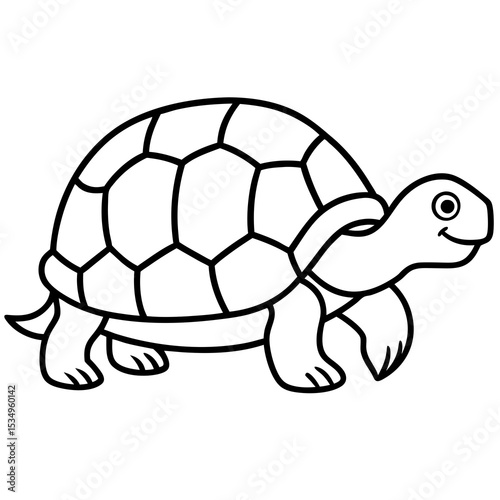 Minimalist Tortoise Line Art