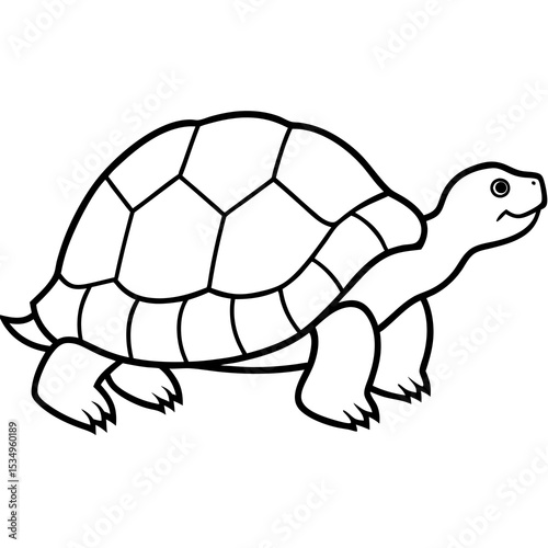 Minimalist Tortoise Line Art