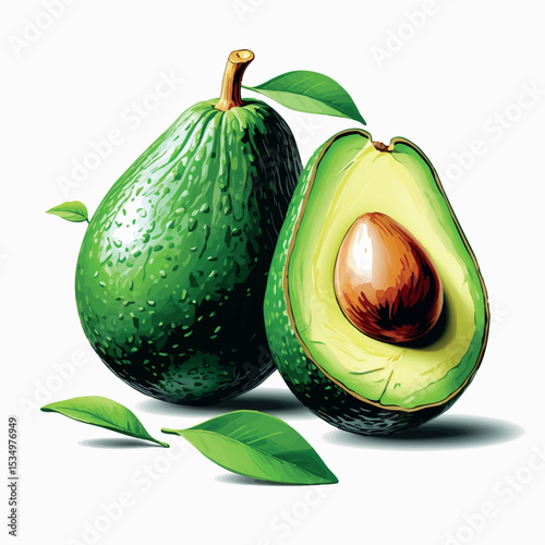 Fresh avocado cut in half vector illustration. Realistic green fruit with detailed texture healthy food concept isolated on white.