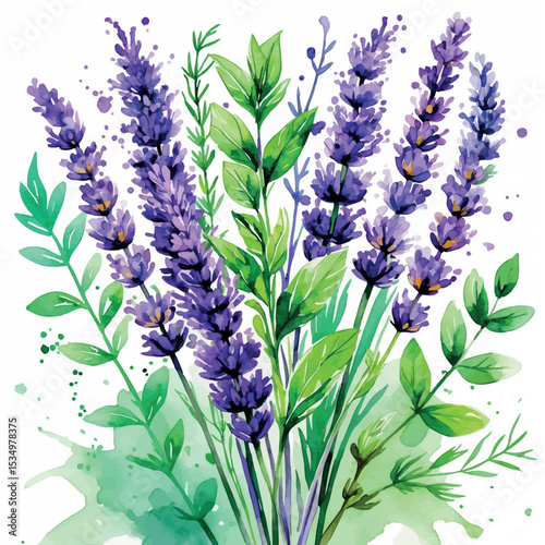 Lavender and Mint Watercolor Herbs Bouquet. Vibrant Botanical Purple and Green Kitchen Art.