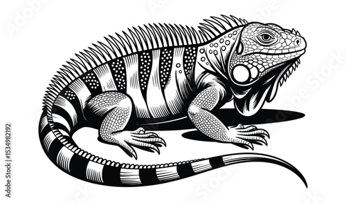 Iguana Reptile Illustration – Wildlife Animal Design


