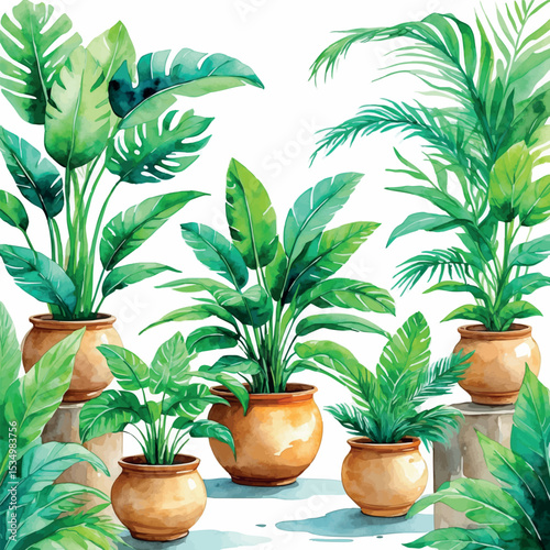 Watercolor tropical houseplants in pots. Bright greenery detailed botanical art