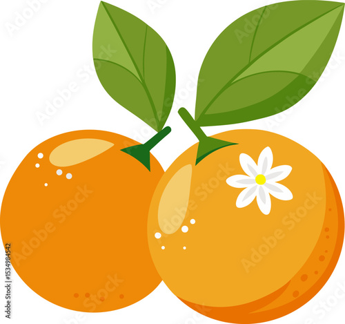 set of two oranges with blossom flower and green l.eps