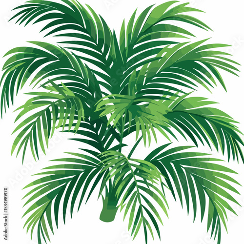 illustration, tropical, nature, summer, beach, exotic, leaf, jungle, plant, tree, decoration, palm, background, graphic, design, branch, forest, landscape, garden, print, wallpaper, tropic, pattern, 