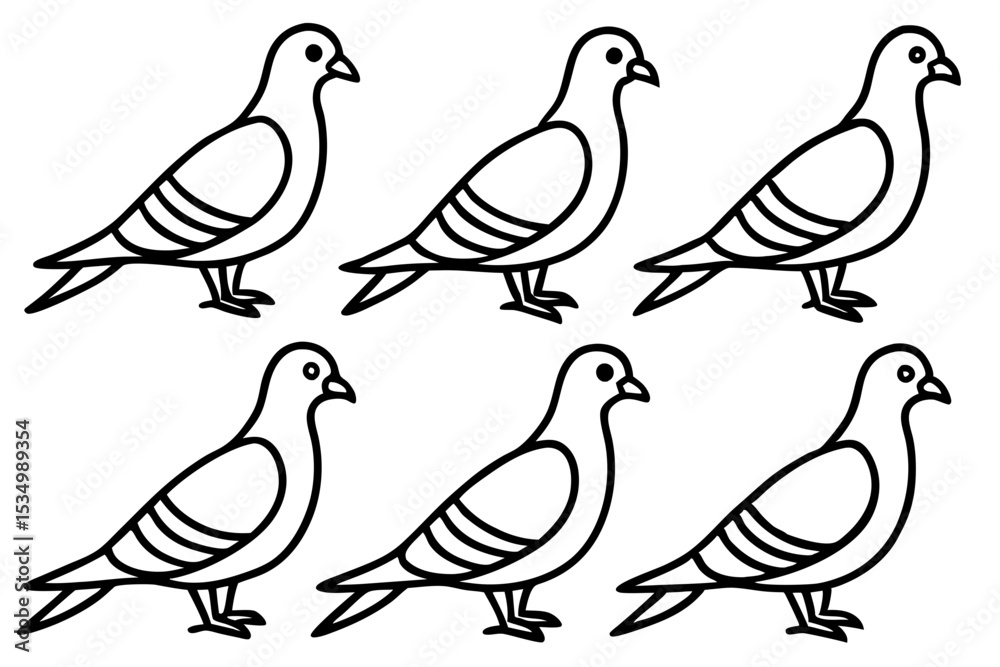 Fototapeta premium Minimalist Pigeon Vector Set