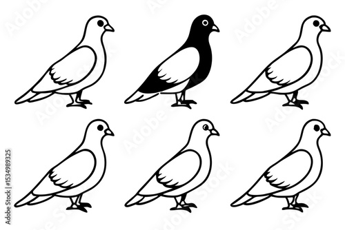 Minimalist Pigeon Vector Set